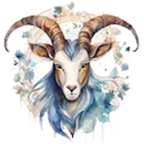 Capricorn